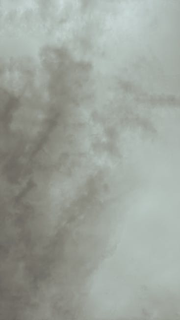 AI创业公司成功案例分析